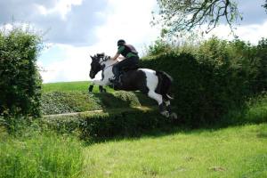 10410420_10152375737477211_4940054246203012603_n