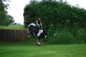 10464053_10152375721052211_5338842456204284678_n