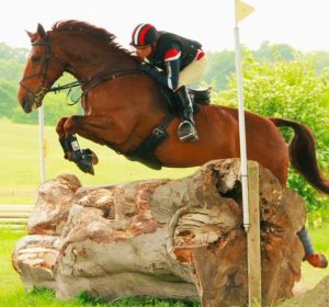 294026_10150339560032343_811019614_n