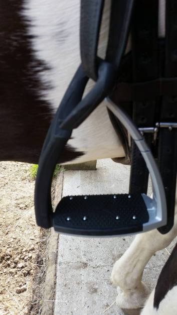 13461112_10153463483627142_2081699159_o