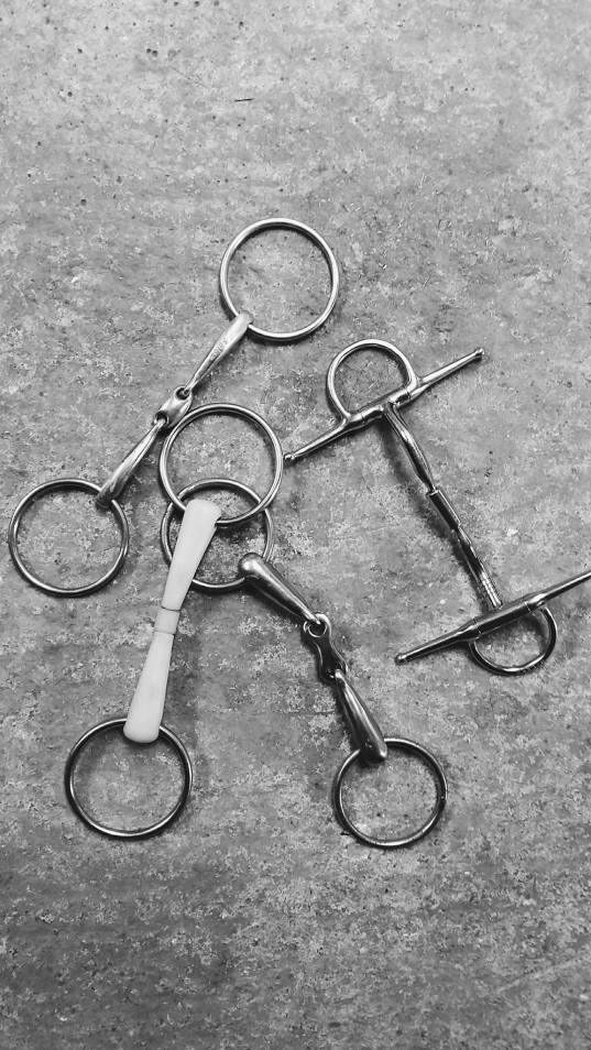 14274275_10153648831827142_582581282_o