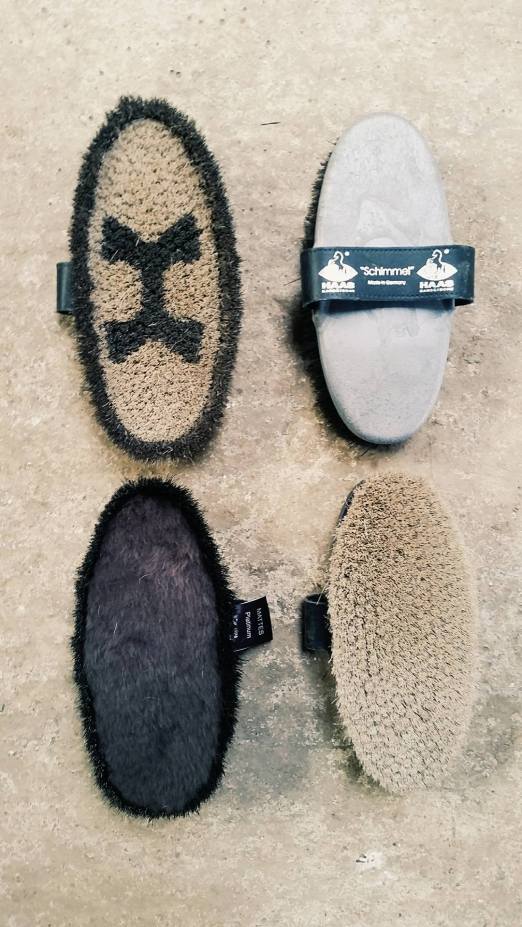 14274513_10153648830962142_1300478582_o